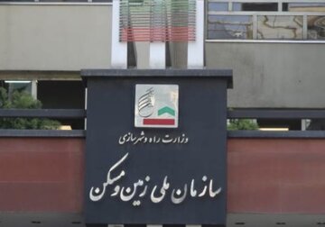 سازمان