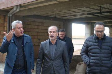 بازدید معاون وزیر راه و شهرسازی از طرح‌های نهضت ملی مسکن ارومیه
