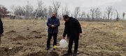 ببینید | کاشت ۱۲ هزار اصله درخت در طرح‌های نهضت ملی مسکن البرز با امضای تفاهمنامه مشترک بین اداره کل راه و شهرسازی و منابع طبیعی استان