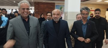 بازدید