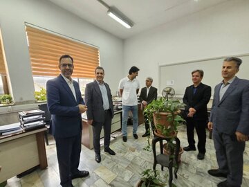 بازدید