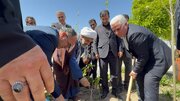 راه و شهرسازی گلستان
