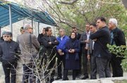 ببینید| بازدید گروه تخصصی مرکز تحقیقات راه، مسکن و شهرسازی از پل B-1 کرج