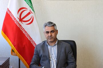 رضوی