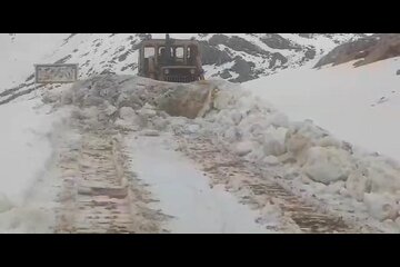 ویدیو | عملیات برف‌روبی و بازگشایی محور پیازدول "شاهو" با تلاش راهداران شهرستان پاوه - استان کرمانشاه