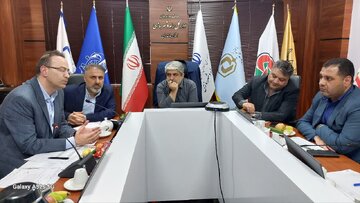 ماده 5 ساری دومین