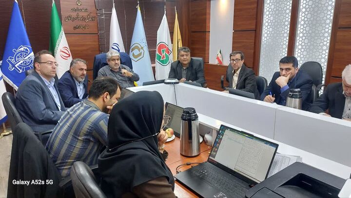 ماده 5 ساری دومین
