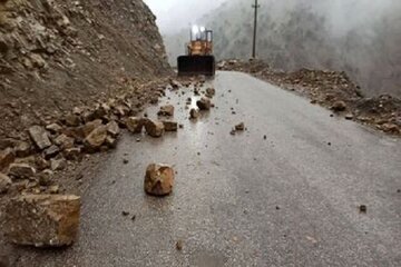 ریزش برداری