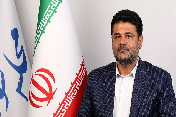 نماینده مجلس