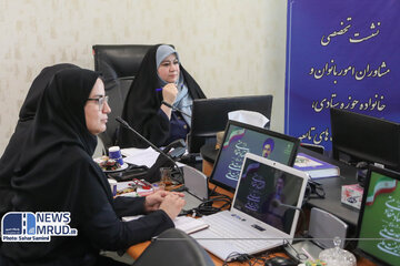 ببینید|نشست تخصصی مشاوران امور بانوان و خانواده حوزه ستادی،سازمان ها و شرکت های تابعه