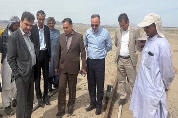 بازدید