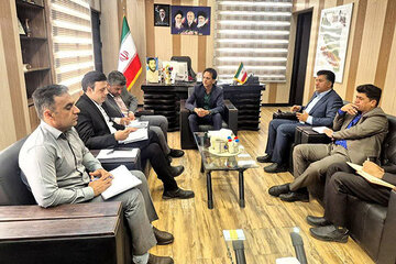 جنوب کرمان باز افرینی