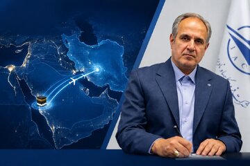 امیرانی مدیرعامل