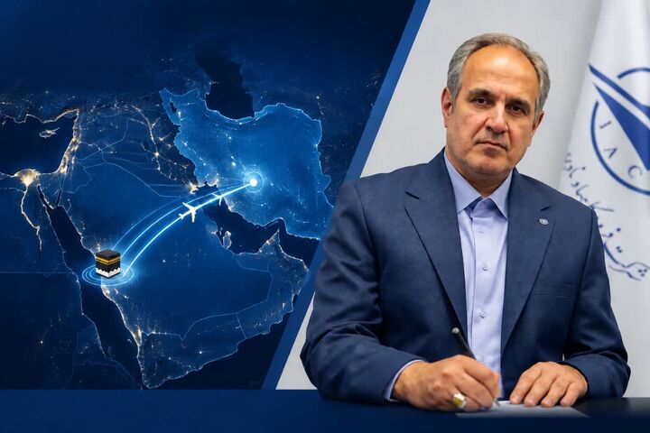 امیرانی مدیرعامل