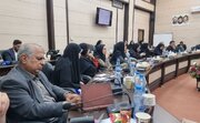ببینید| حضور مدیرکل راه و شهرسازی  در جلسه ستاد حمایت از خانواده و جوانی جمعیت استان سیستان و بلوچستان
