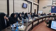 ببینید| حضور مدیرکل راه و شهرسازی  در جلسه ستاد حمایت از خانواده و جوانی جمعیت استان سیستان و بلوچستان