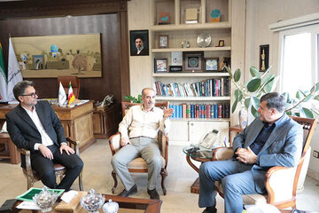 جنوب کرمان معاون وزیر