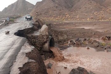 سیل