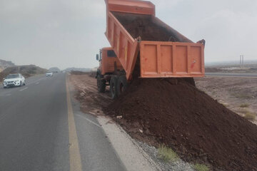 ارتقای ایمنی محور