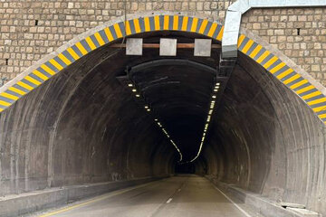 ایمن سازی محور
