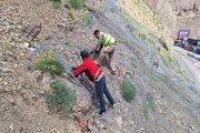 ببینید|ادامه عملیات نصب تورسنگی در محور کرج_کندوان حوزه استان البرز