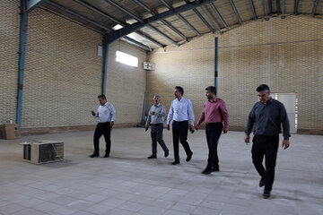 جنوب کرمان - باز آفرینی