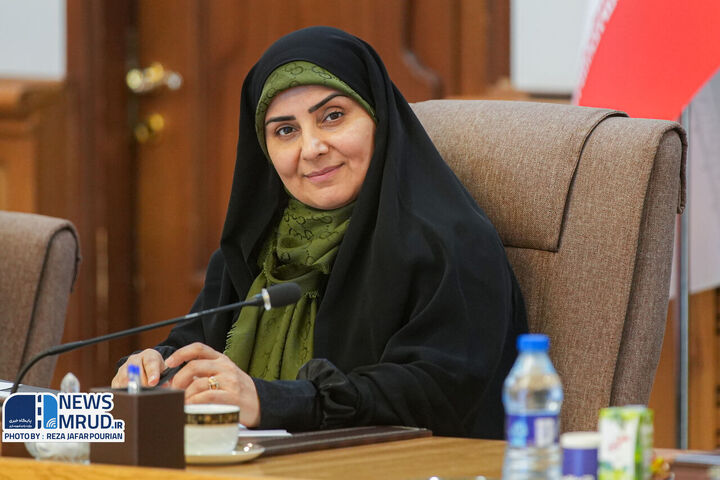 صادق وزیر پرتره