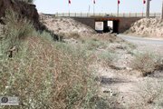 ببینید | بررسی موانع اجرایی زیرگذر طغان با حضور مدیرعامل شرکت ساخت و توسعه