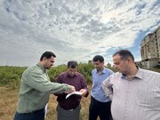راه و شهرسازی گلستان