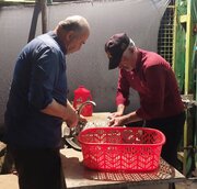 راه و شهرسازی گلستان