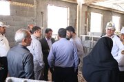 بازدید سرپرست دفتر فنی و امور سرمایه گذاری سازمان از روند احداث قرارگاه اربعین حسینی در پلیس راه خرمشهر