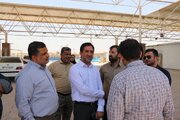 بازدید سرپرست دفتر فنی و امور مهندسی سازمان پایانه مرزی شلمچه