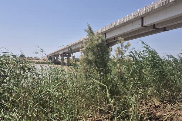 پل عنافچه