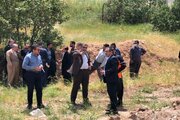 ببینید| عملیات روکش مقاطع تخریب شده مسیر جوانرود به بانی لوان به طول ۸ کیلومتر استان کرمانشاه