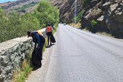 ببینید|پاکسازی و جمع آوری زباله های حاشیه راه در محور  کرج _کندوان توسط عوامل راهداری گچسر