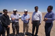 بازدید مجری کریدور بزرگراهی نوار ساحلی جنوب کشور از پروژه های راهسازی بوشهر