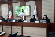 کشورهای در حال توسعه در لبه آسیب‌پذیری اقلیمی