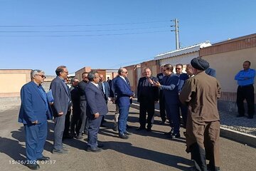 بازدید