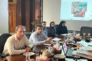جلسه کمیسیون ماده 5 شهر گناوه در استان بوشهر