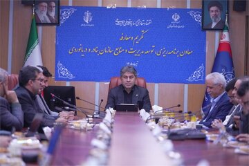 شکیبی نسب