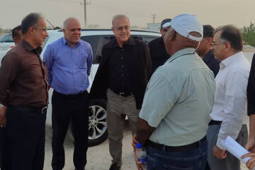 بازدید
