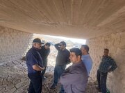 بازدید