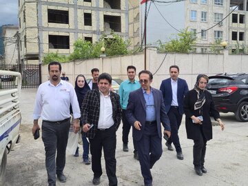 بازدید
