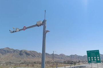 بازدید