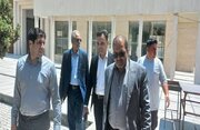 بازدید