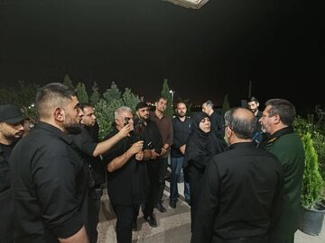 بازدید