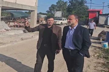 نهصت ملی استانه