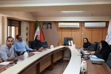 جلسه کمیته فنی کمیسیون بوشهر.