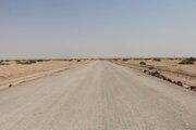 گزارش تصویری