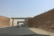 گزارش تصویری